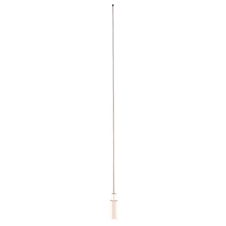 Agulha Longa de limpeza AIR-FLOW | EMS
