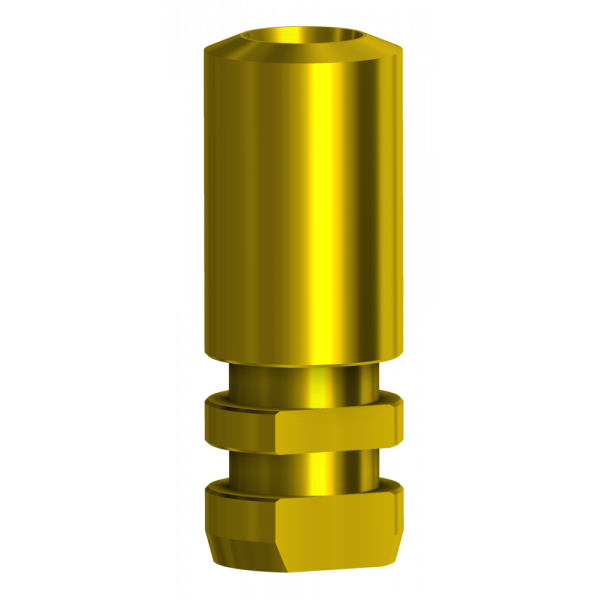 Analog Compatible with Straumann® BLX | Implant Components | DESS