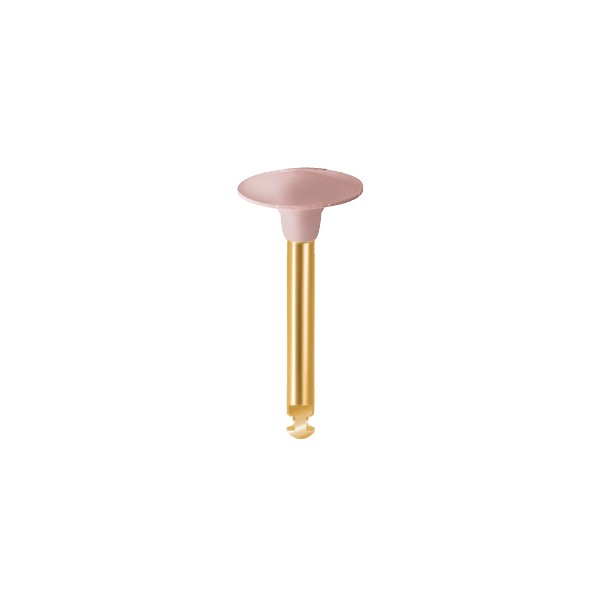 Discos Diacomp Plus DCP 2m | EVE ERNST VETTER