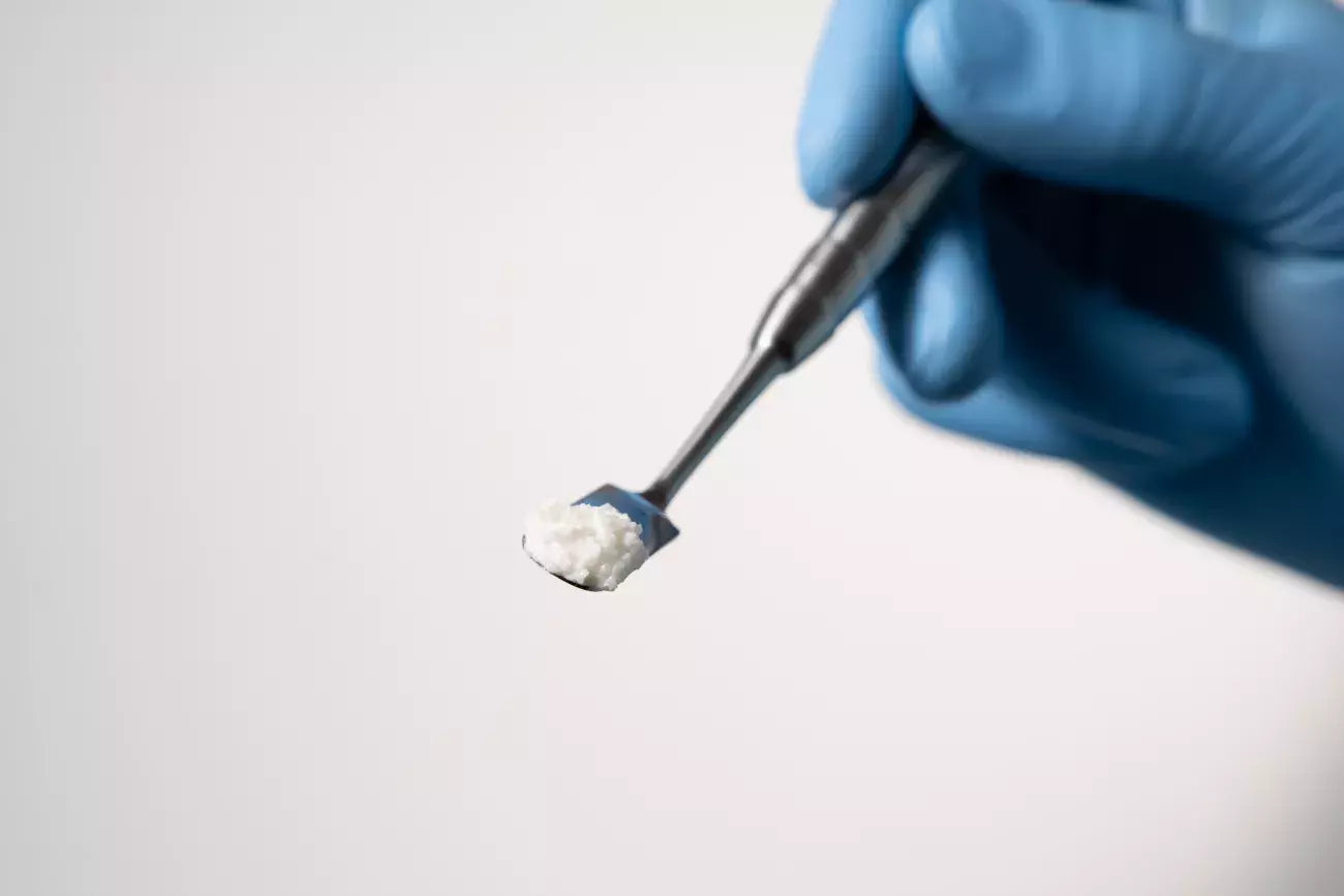 GTO | OSTEOBIOL