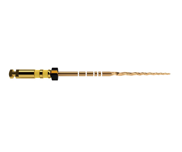 Limas PROTAPER GOLD | Dentsply