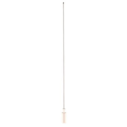 Agulha Longa de limpeza AIR-FLOW | EMS