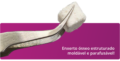 THE GRAFT  Bolco | Regeneração Óssea | Purgo